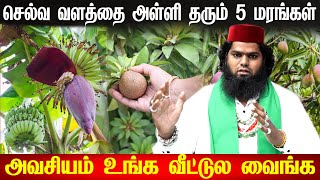 செல்வதை தரும் மரம்  Lucky Plants  indian astrology predictions Flowers  Vastu Plants tamil [upl. by Bomke]