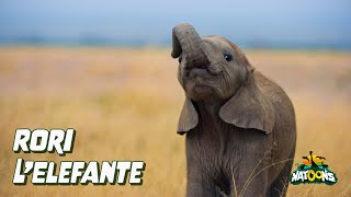 03 Rori L’Elefante – NATOONS Cuccioli Curiosi [upl. by Nhojleahcim254]