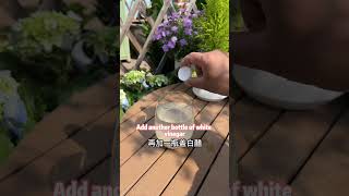 植物生根水怎么制作How to make rooting water for plants 花草 分享 养花 garden 园艺 https 教学 种植技术 好物推荐 科普 [upl. by Yenitirb]