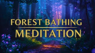 Guided Meditation for Sleep  The Forest Bathing Meditation  SLEEP Meditation [upl. by Gerkman]