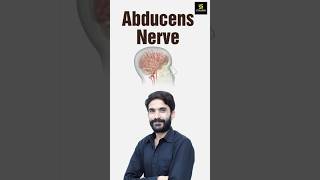 Abducens Nerve shorts utkarshnursing rajusir [upl. by Itirahc577]