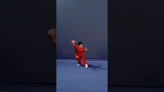 Changquan 14  3rd Set International Wushu Competition Routines  IWUF [upl. by Knudson]