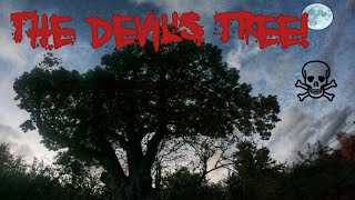 We Visit the Devils Tree in NJ  A Haunting Local Legend 2020 [upl. by Debera]