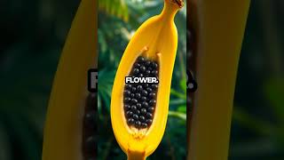 Bananas Are Berries The Shocking Truth About Fruits Revealed [upl. by Sitnik]