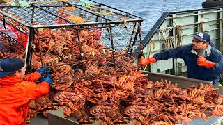 Amazing Catch Hundreds Tons Alaska King Crab On the Sea  Amazing Crab Fishing With Modern Boat [upl. by Eimam]