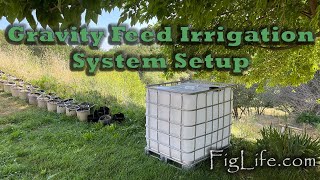 Gravity Feed Irrigation Setup [upl. by Nerrak]