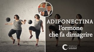 Adiponectina lormone che fa dimagrire [upl. by Hamford]