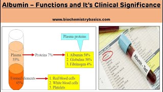 Biochemical Functions of Albumin  Clinical Significance of Albumin  Plasma Proteins [upl. by Umberto]