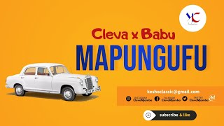 Mapungufu Cleva x Babu Official lyrical audio [upl. by Karna647]