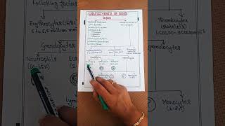 constituents of bloodleucocytesmonocytes NEETtrickseosinophils constituents bloodneet biology [upl. by Ecirpac67]