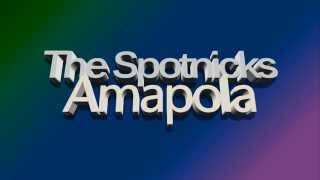 The Spotnicks  Amapola Vinyl 1964 [upl. by Jehoash]