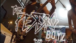 The Perro Boyz  Punkadelia Punk al Parke 2024Punk  Video en Vivo [upl. by Idnil813]