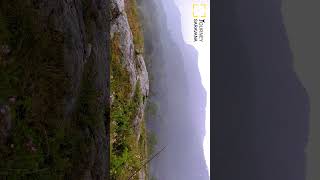 Yercaud hills view point mountains journeysaravana trekking stories [upl. by Akinit854]