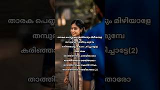 Tharaka Pennalesongmalayalam lyricsKichus Tharikidas [upl. by Tiossem]