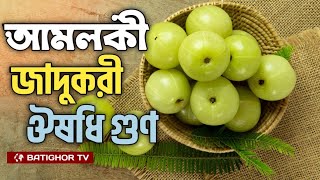 আমলকী যতো উপকারী পুষ্টিগুণ  Amloki  Amla  Bangla news [upl. by Aitnahs]