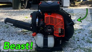 Echo BackPack Blower PB9010T  First Look amp Startup [upl. by Gilbertine]