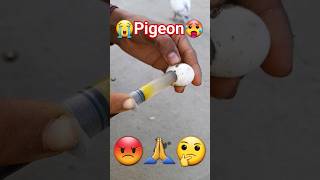 bimar pigeon ka ilaj kaise kare 🥵😭🤔🕊😳 shortsfeed trending viral pigeonshonki kabutar [upl. by Raphael]