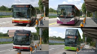 Buses at Woodlands Train Checkpoint—2021 [upl. by Ahsemo]