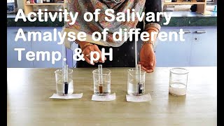 ACTIVITY OF SALIVARY AMYLASE AT DIFFERENT TEMPERATURE AND pH [upl. by Ttevy355]