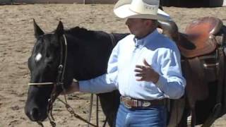 Horse Training Tips  Using A HeadSetter part 1 [upl. by Daggett]