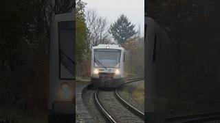 RB2 nach Zwickau Zentrum mit Lichtgruß train trainspottingmusic music trainspoting railway zug [upl. by Dlabihcra696]