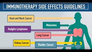 Immunotherapy Side Effects Guidelines [upl. by Adok713]