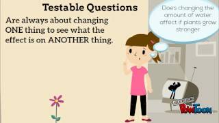 Testable Questions Review [upl. by Dyolf245]