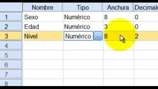 Tutorial de SPSS Video 2 [upl. by Biggs]