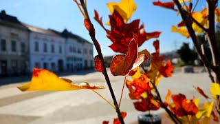 Toamnă în culori o plimbare în Hunedoara [upl. by Attenna]