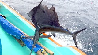 Fishing for Sailfish in sea [upl. by Anerbas]