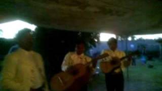 Mariachi Los Pepe´s quotEl Aventureroquot [upl. by Hsital]