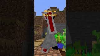 POV Youre a Village Block in Minecraft [upl. by Verena809]