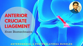 Proximal Tibia Plating System [upl. by Varipapa329]