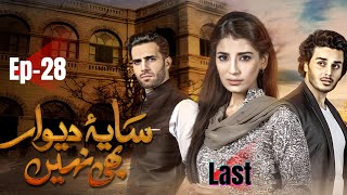 SayaeDewar Bhi Nahi  Drama  Episode 28  Last  Hum TV  Urdu Hindi  Ahsan Khan  Naveen Waqar [upl. by Naanac546]