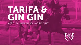 Tarifa amp Gin Gin Work in Preparation for the Kentucky Oaks [upl. by Kcirdahc]