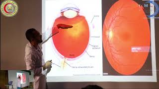 Principles of Fundus Examination [upl. by Jory121]