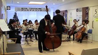 20171209 ドラゴネッティ コントラバス協奏曲1楽章 Dragonetti Double Bass Concerto in A major Mov1 [upl. by Indnahc]