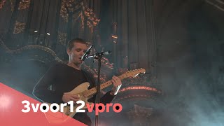 Westerman  session Eurosonic 2020 [upl. by Nerta]