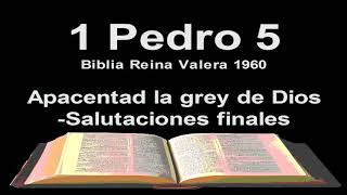 1 Pedro 5 Biblia Reina Valera 1960 Apacentad la grey de Dios Salutaciones finales [upl. by Anilef]