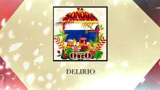 Delirio  La Sonora Matancera  Discos Fuentes Audio Oficial [upl. by Hameerak421]