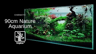 Wonderful 90cm Nature Aquarium  Relaxing Cinematic [upl. by Nyladnor413]