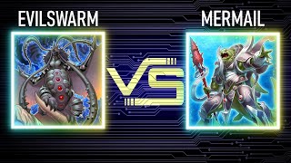 Evilswarm vs Mermail  Meadowlands Format  Dueling Book [upl. by Euf]