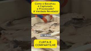 Como o Bacalhau é Capturado e Processado A Verdade Revelada curiosidades viralvideo shorts [upl. by Barn]