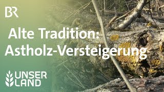 Alte Tradition Versteigerung von Astholz  Unser Land  BR Fernsehen [upl. by Noivart]