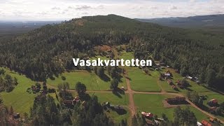 Vasakvartetten [upl. by Ocirne]