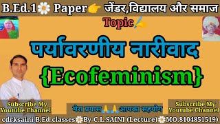 पर्यावरणीय नारीवाद  Ecofeminism [upl. by Okihcim135]