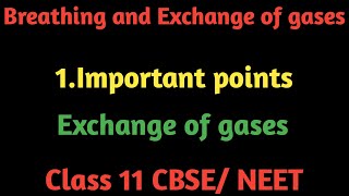 Breathing and Exchange of gases Exchange of gases [upl. by Ahsitul104]