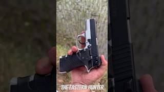 Best Pistol of 2024 review sports [upl. by Ferne]