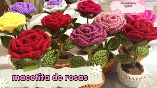 mini macetas de rosas 🌹 a crochet 🧶 ♥️ [upl. by Alleen]