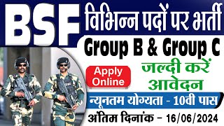 BSF Group B amp Group C Constable HC ASI SI Various Post Recruitment 2024 [upl. by Noskcaj146]